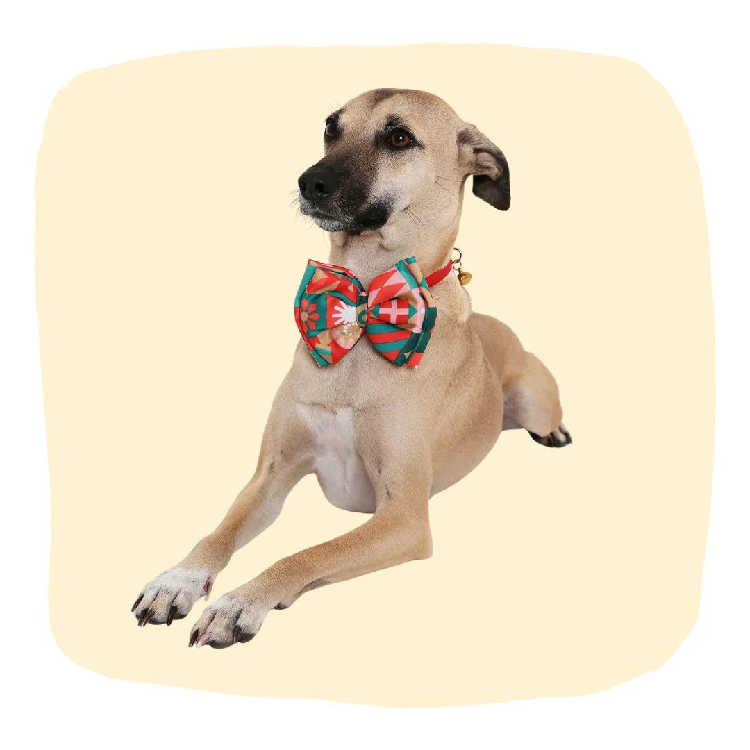 Medium dog wearing adjustable red geometric satin bow tie, ideal for festive occasions. Stylish pet accessory from Red Bow Tie for Medium Dogs.