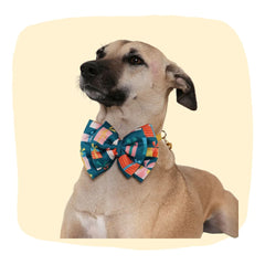 Green adjustable dog bow tie in satin cotton with colorful festive prints, worn by a tan dog. Ideal pet accessory for parties and celebrations.