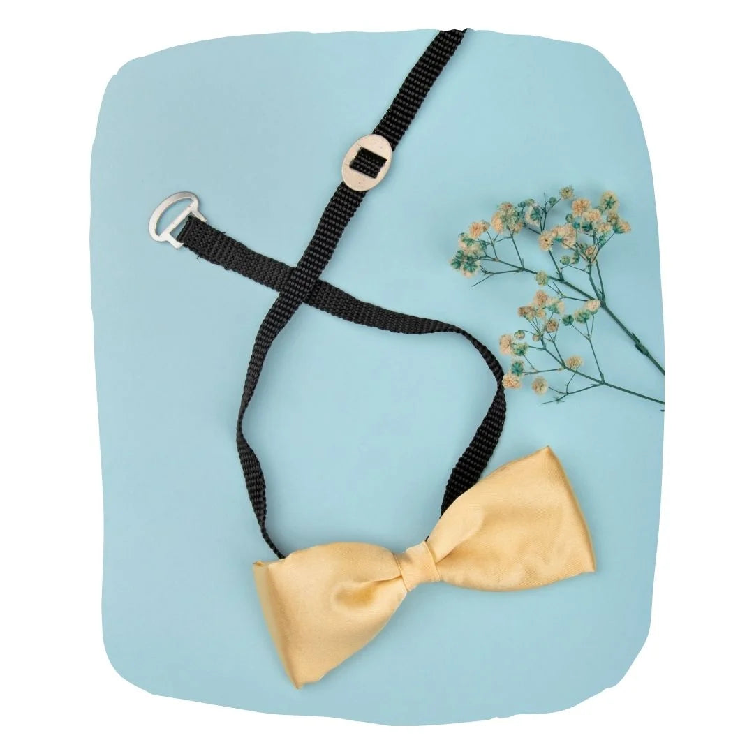 Adjustable Satin Bow Tie for Boys – Gold (Pre-Tied & Clip-On) [AKA004]
