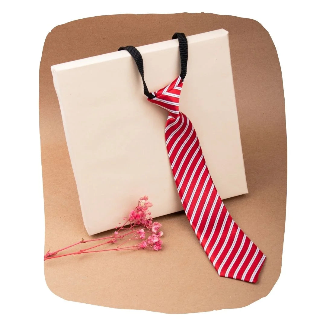 Adjustable Satin Neck Tie for Boys – Striped Red (Pre-Tied & Clip-On) [AKA028]