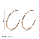 Gold Plain Loop Lyla Earrings [AER034]