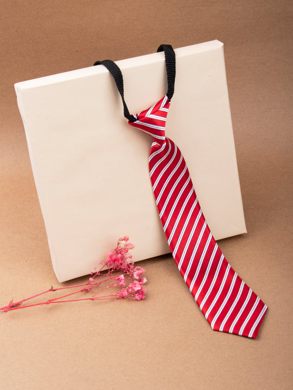 Kids Satin Printed Striped Red Tie [AKA028]